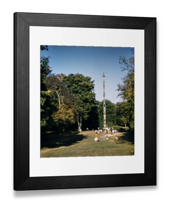 Framed Print : Totem Pole BAR03_01_552