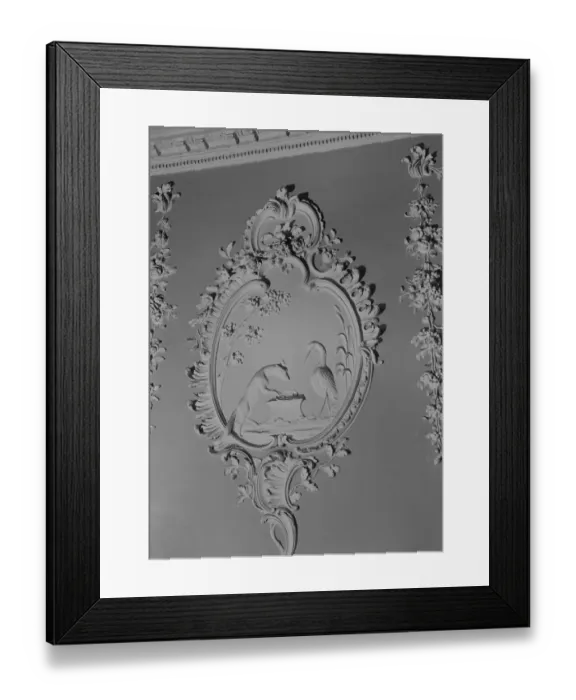 Framed Print : The Fox and the Stork a42_01488