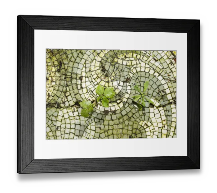 Framed Print : Decaying mosaic pavement DP168226