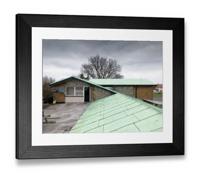 Framed Print : Roof of the Winged Horse DP183247