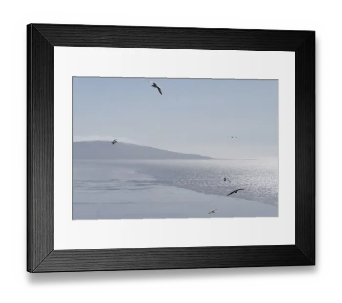 Framed Print : Brean Down DP218548