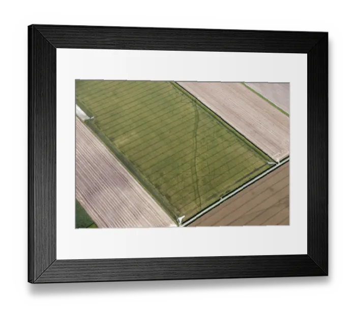 Framed Print : Cropmarks of a trackway 28779_043 Framed Print : Cropmarks of a trackway 28779_043