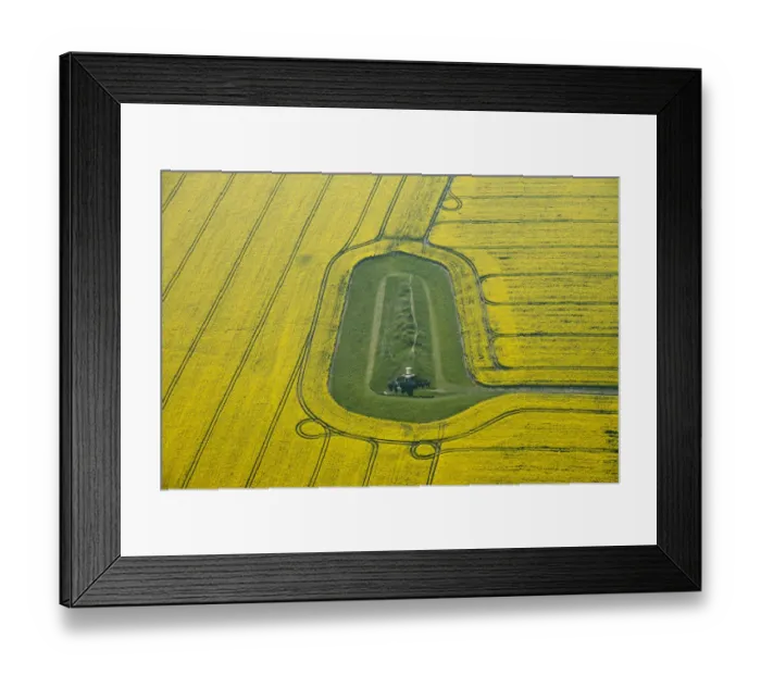 Framed Print : West Kennet 29570_018