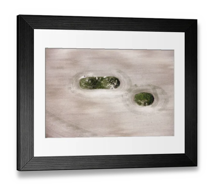 Framed Print : Sheep Down barrows 29544_001