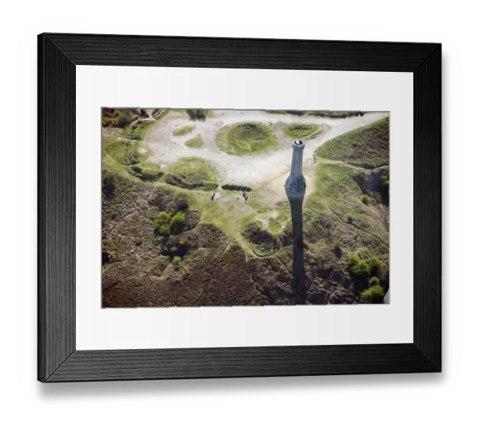 Framed Print : Hardy Monument 29544_043
