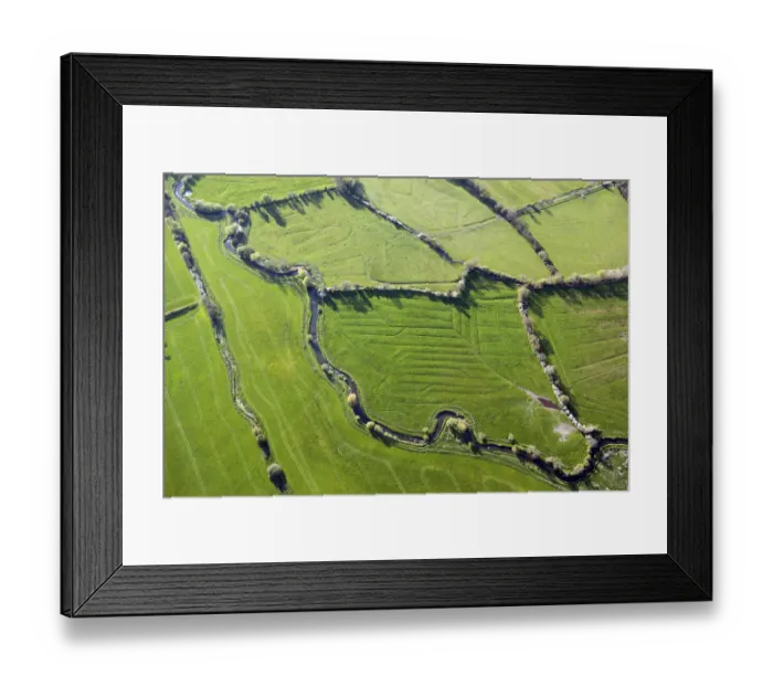 Framed Print : Kingston Maurward watermeadows 29551_031