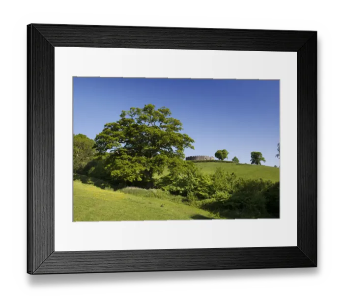 Framed Print : Restormel Castle DP221036
