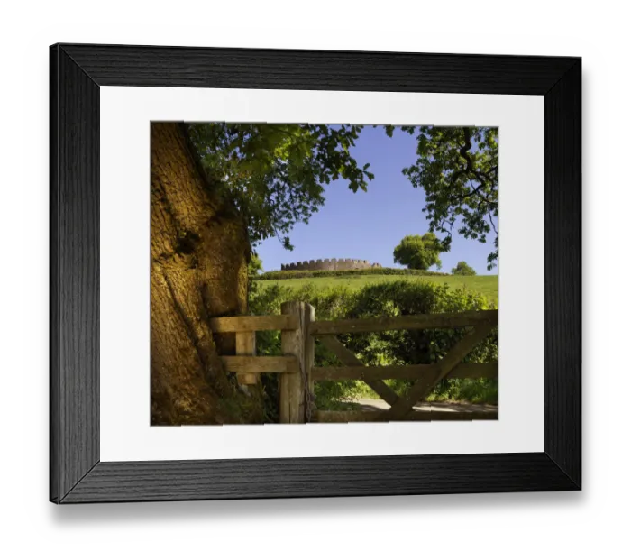 Framed Print : Restormel Castle DP221008