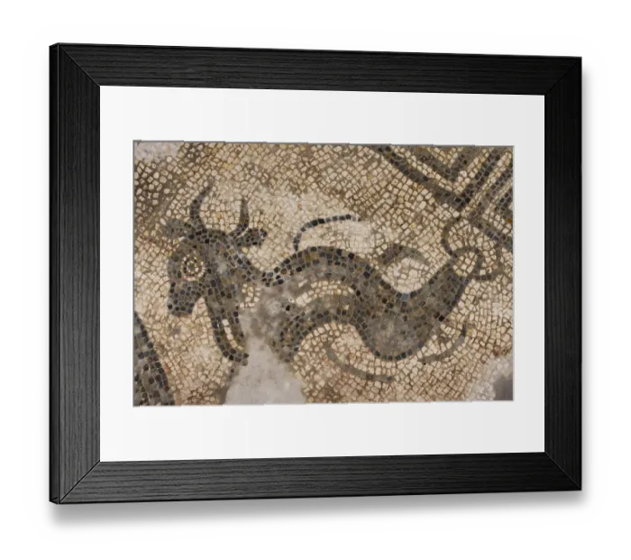 Framed Print : Mosaic detail DP220986