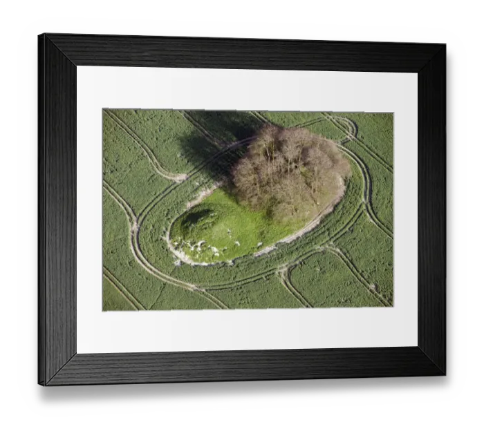 Framed Print : Avebury Down barrows 29629_005
