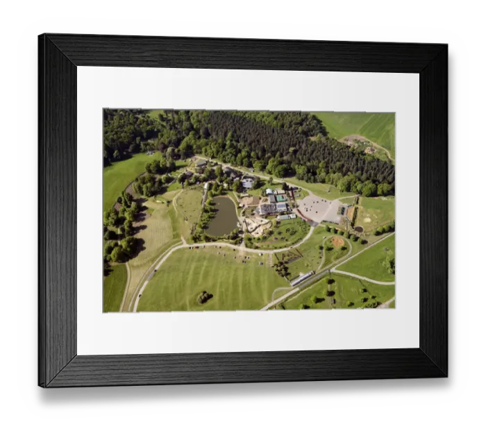 Framed Print : Woburn Safari Park 33594_039