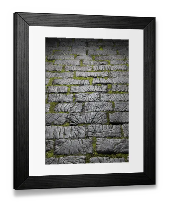 Framed Print : Timber setts DP221888