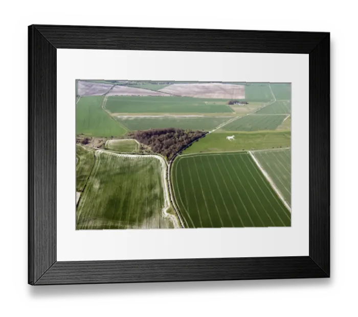 Framed Print : Roundway Down 33629_009 Framed Print : Roundway Down 33629_009