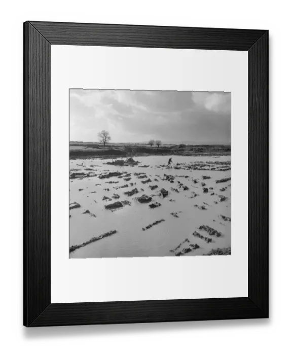 Framed Print : High water table JLP01_08_048996