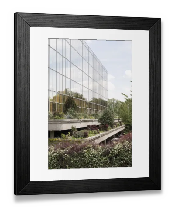 Framed Print : Hanging gardens DP235917