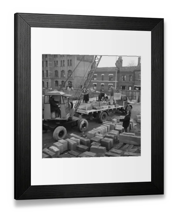 Framed Print : Crane JLP01_08_048371
