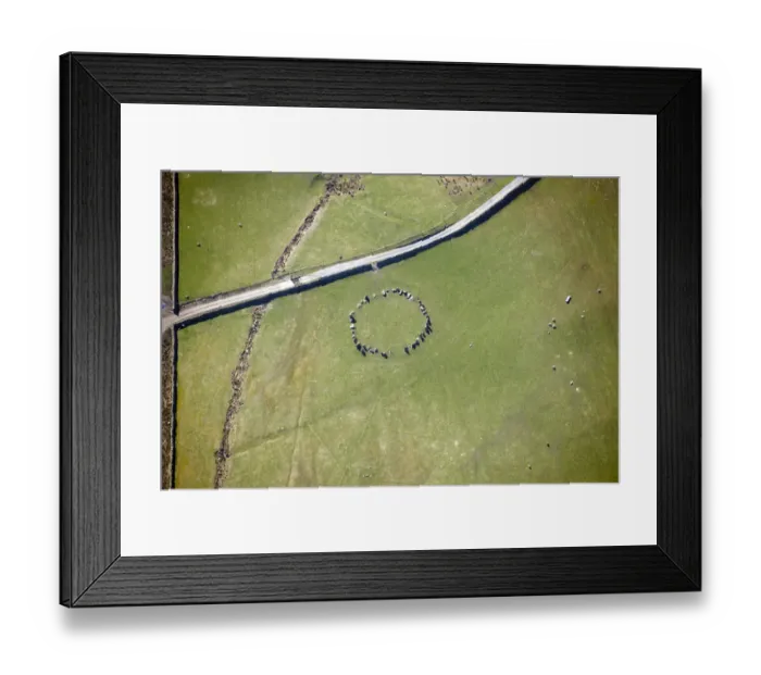 Framed Print : Sunkenkirk Stone Circle 28864_012 Framed Print : Sunkenkirk Stone Circle 28864_012