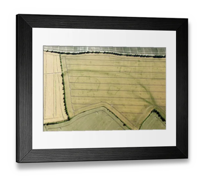 Framed Print : Cropmark enclosures at Wistow 29790_017 Framed Print : Cropmark enclosures at Wistow 29790_017