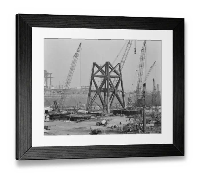 Framed Print : Cranes JLP01_08_092768