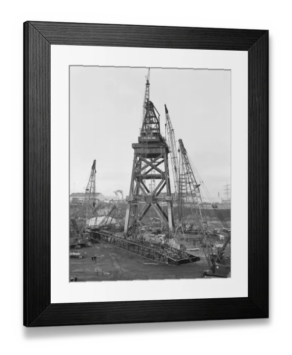Framed Print : Cranes JLP01_08_093437