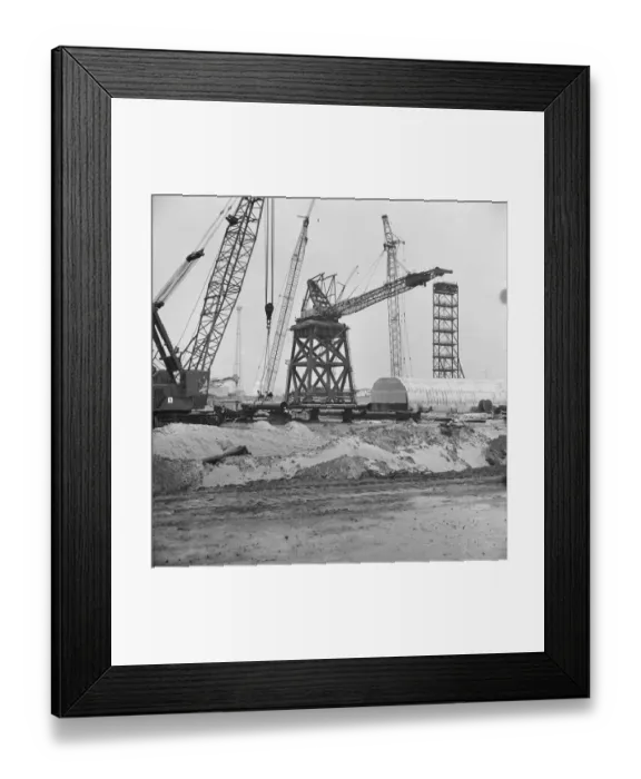 Framed Print : Cranes JLP01_08_093454