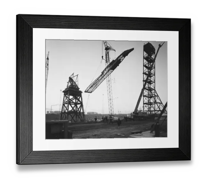 Framed Print : Cranes JLP01_08_093455A