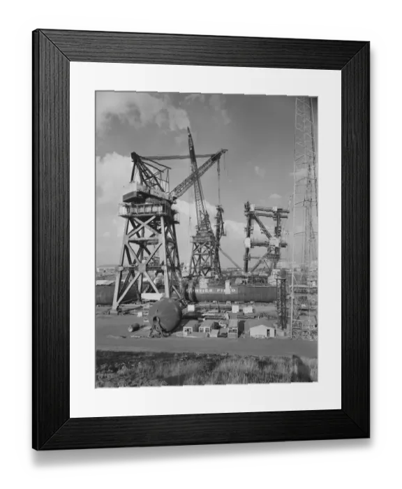 Framed Print : Cranes JLP01_08_096482