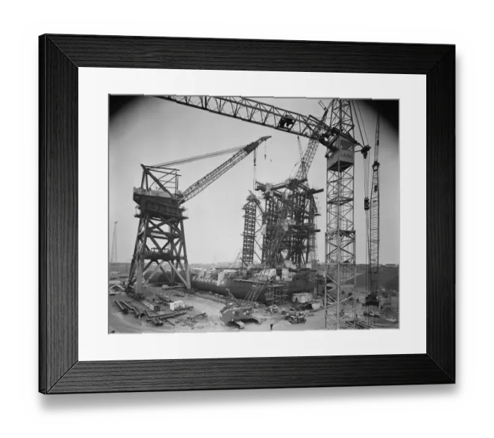 Framed Print : Cranes JLP01_08_096485