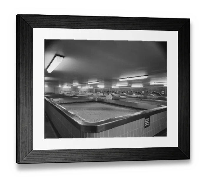 Framed Print : Brewing JLP01_08_066063