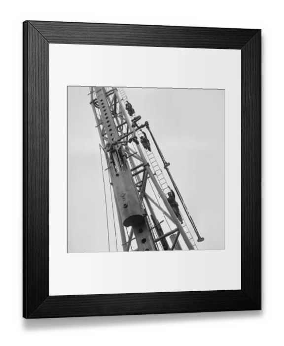 Framed Print : Climbing a piling frame JLP01_08_008728