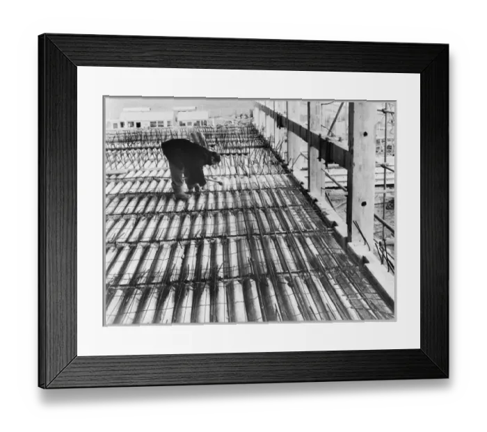 Framed Print : Reinforcing a floor slab JLP01_01_147_48