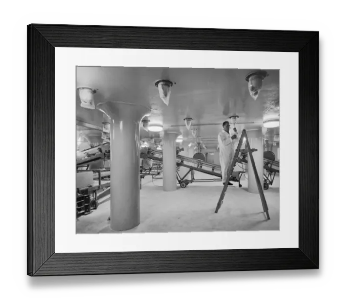 Framed Print : Final adjustments JLP01_08_073708