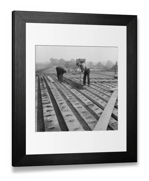 Framed Print : Lightweight bridge deck JLP01_08_060929