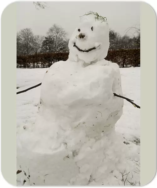 Snowman DP040440