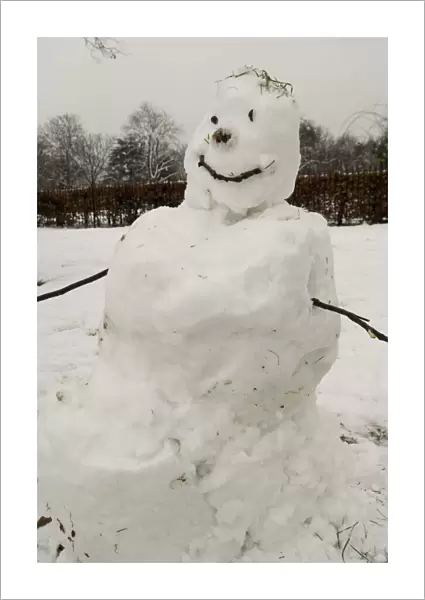 Snowman DP040440