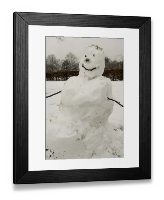 Framed Print : Snowman DP040440