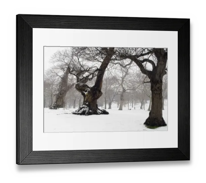 Framed Print : Snowscapes DP040436