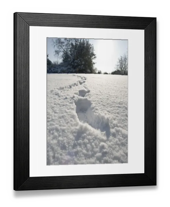 Framed Print : Eltham snowscapes DP073294