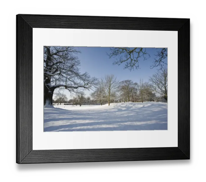 Framed Print : Eltham snowscapes DP073324 Framed Print : Eltham snowscapes DP073324