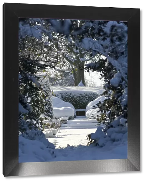 Eltham snowscapes DP073350