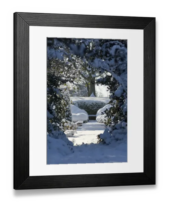 Framed Print : Eltham snowscapes DP073350