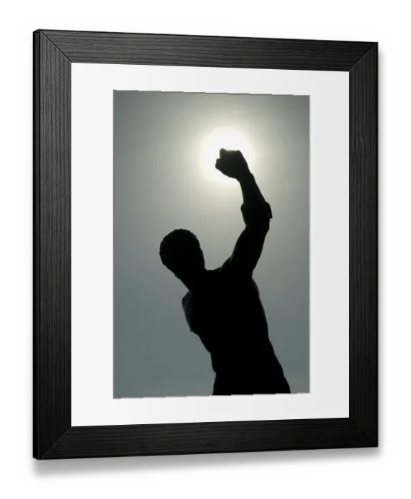 Framed Print : Gladiator DP071489