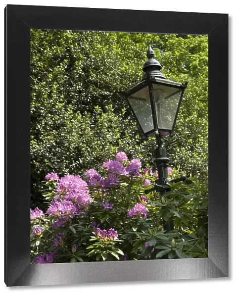 Flower lantern DP053975