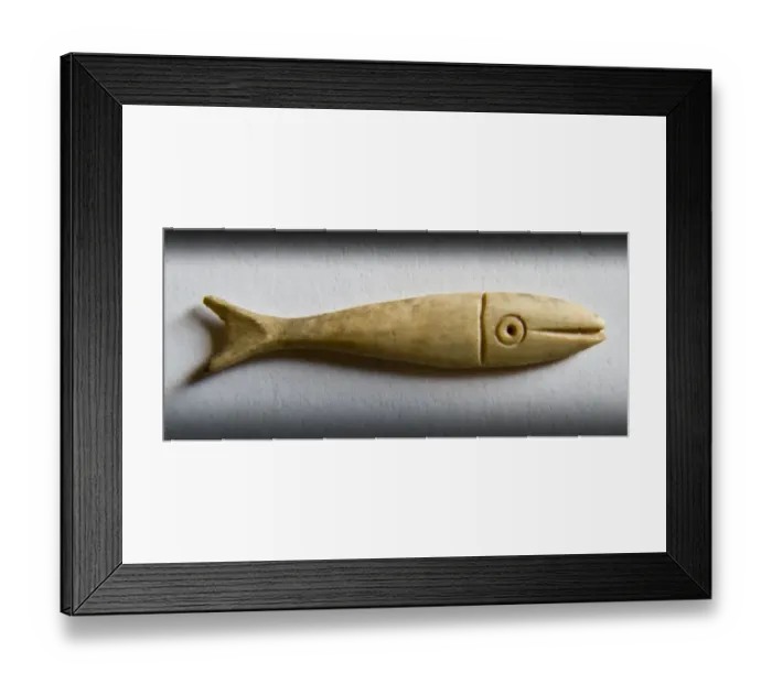 Framed Print : Fish counter DP077091 Framed Print : Fish counter DP077091