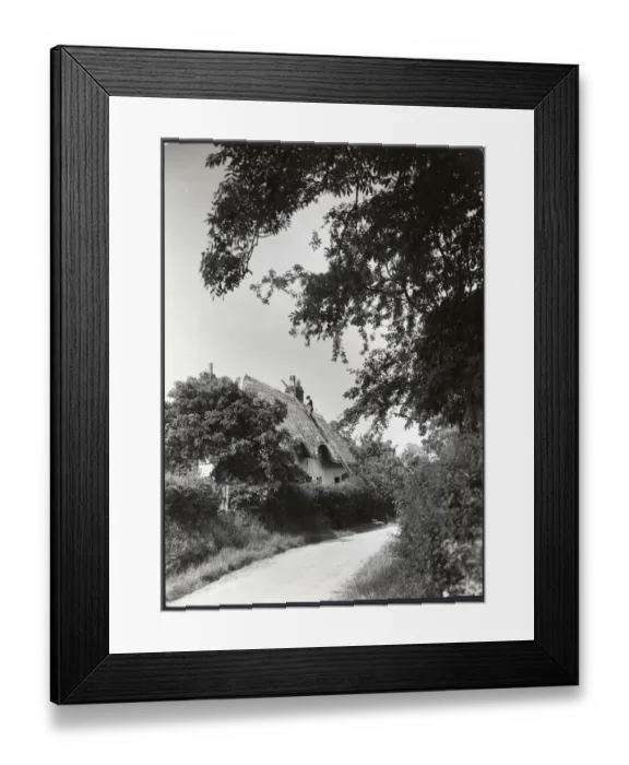 Framed Print : Thatching DIX02_01_224