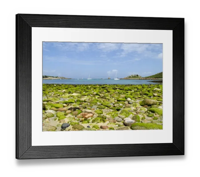 Framed Print : Scilly beach DP085525