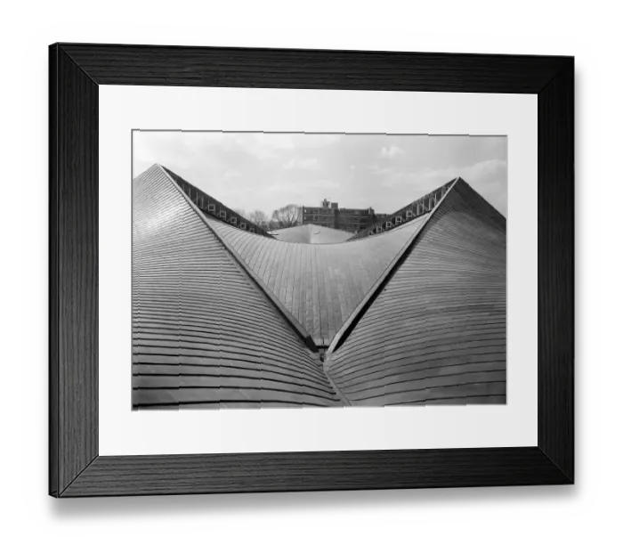 Framed Print : Exhibition Hall roof JLP01_08_052179