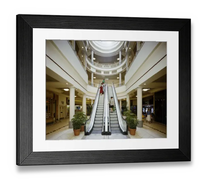 Framed Print : Eldon Garden JLP01_10_38141