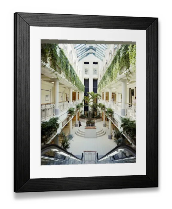 Framed Print : Eldon Garden JLP01_10_38132