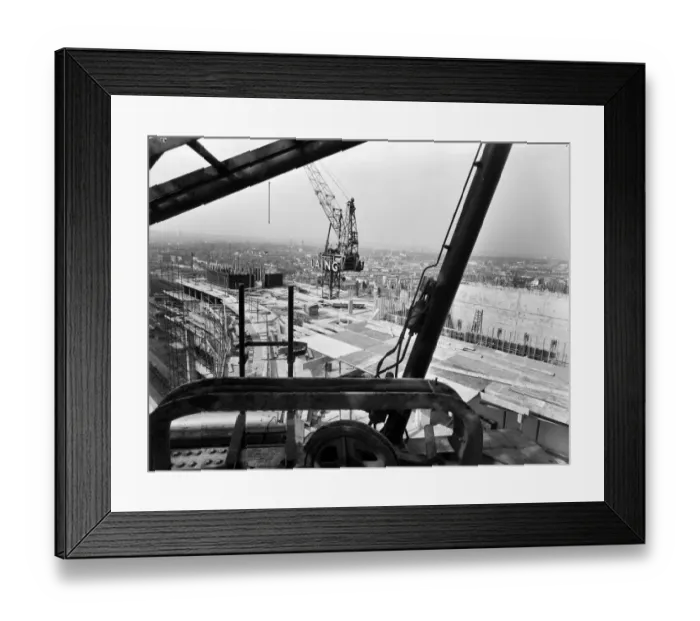 Framed Print : Cranes JLP01_08_059832 Framed Print : Cranes JLP01_08_059832